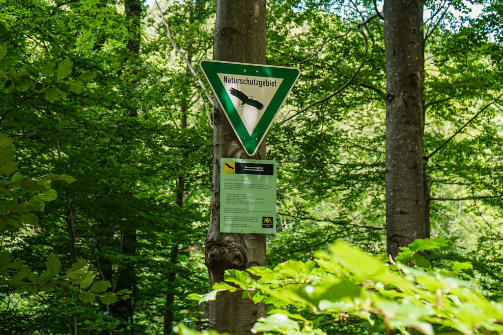 Naturschutzgebiet Bodenbachschlucht Spiegelberg bei Wuestenrot im Schwaebisch Fraenkischen Wald
