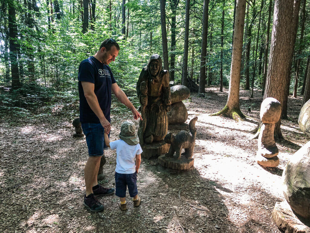 Hexenring im Zauberwald Fichtenau