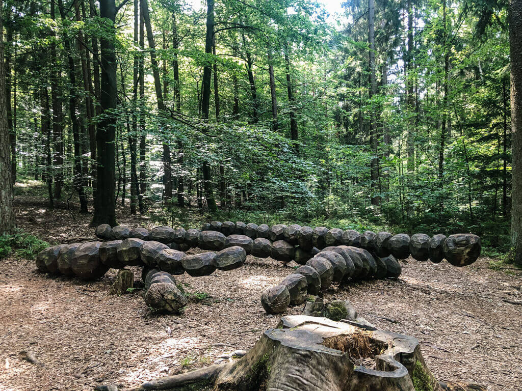 Klettern und Balancieren auf dem Walderlebnispfad Zauberwald