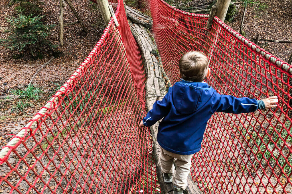 Wald der Balance mit Niedrigseilgarten und Seilrutsche im Eins und Alles Erfahrungsfeld der Sinne in Welzheim