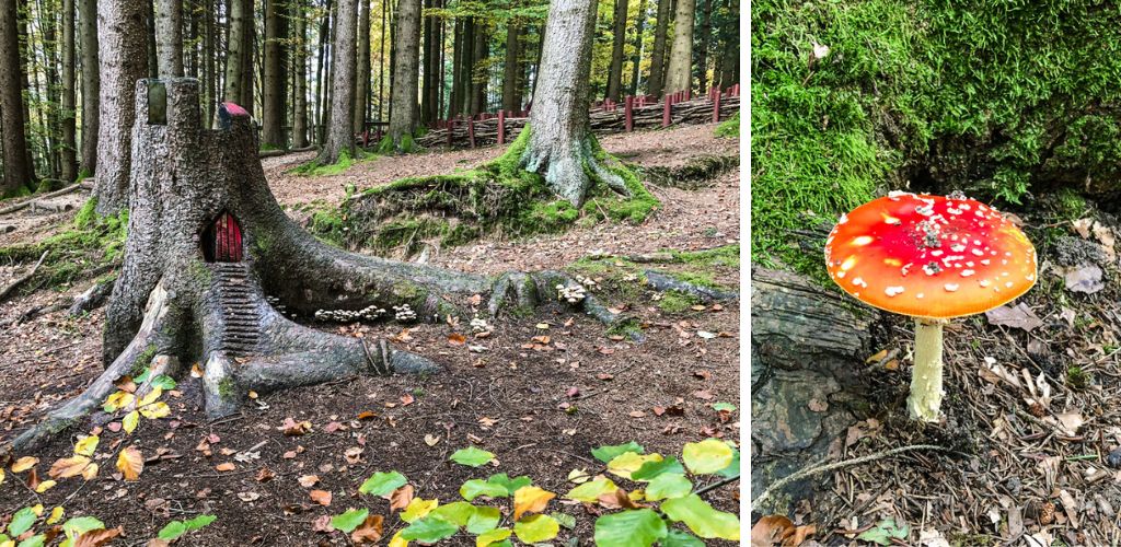 Wichtelhaus und Pilze auf dem Walderlebnispfad Wunderweg im EINS und ALLES Welzheim