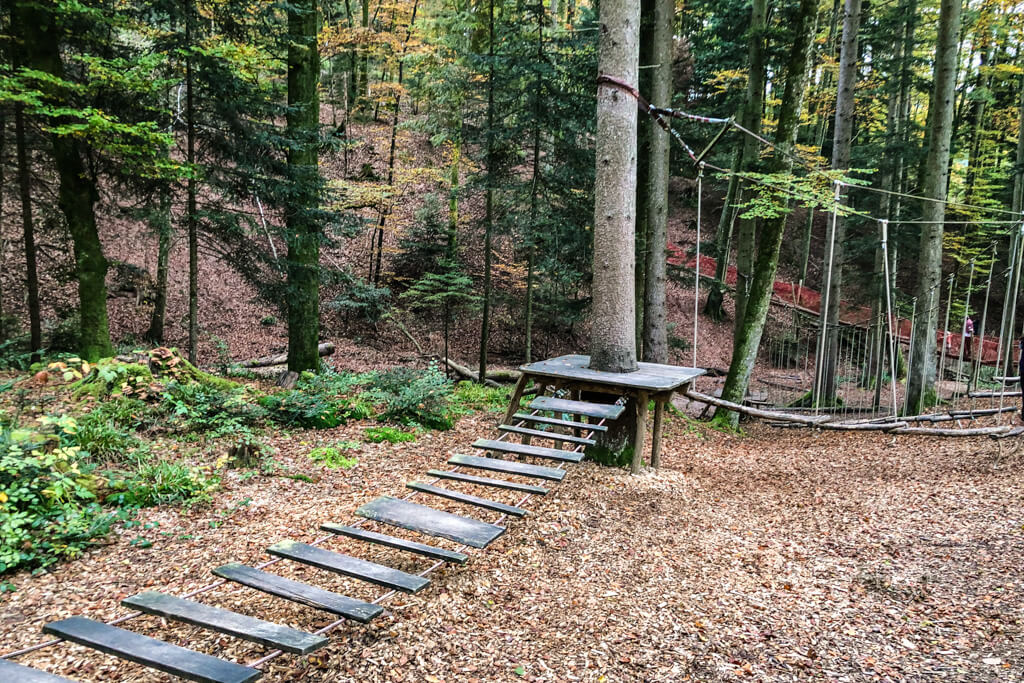 Niedrigseilgarten im Wald der Balance im Eins und Alles Welzheim