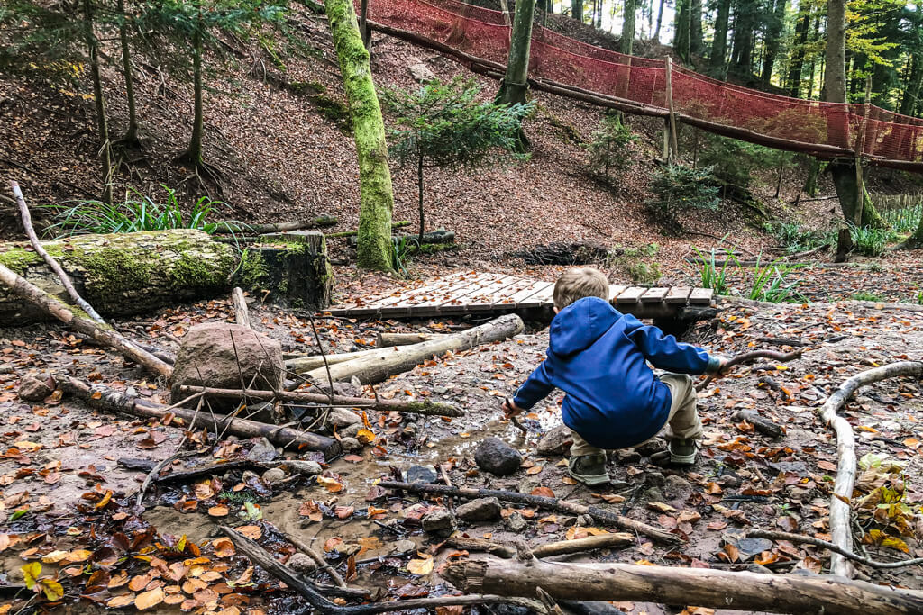 Kleiner Waldbach im Eins und Alles im Welzheimer Wald