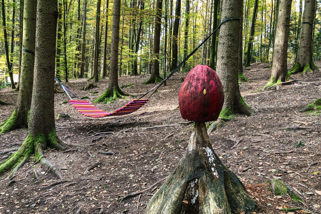 Himmelsliegen und Pilze auf dem Wunderweg im Eins und Alles Erfahrungsfeld der Sinne