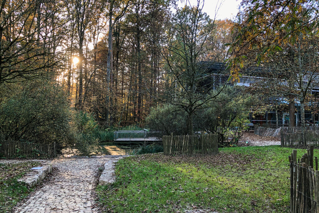 Der Innenhof des Haus des Waldes in Stuttgart mit Teich und Spielplatz