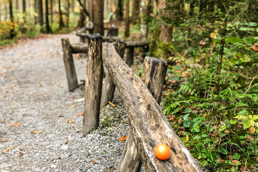 Klangbahn auf dem Walderlebnispfad Urbach