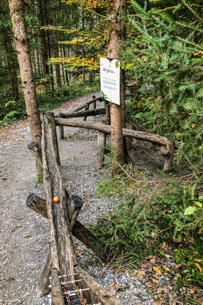 Klangbahn auf dem Walderlebnispfad Urbach