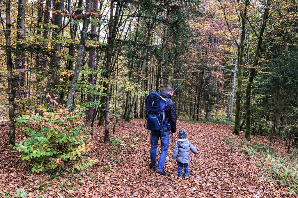 Waldweg durch den Walderlebnispfad Urbach