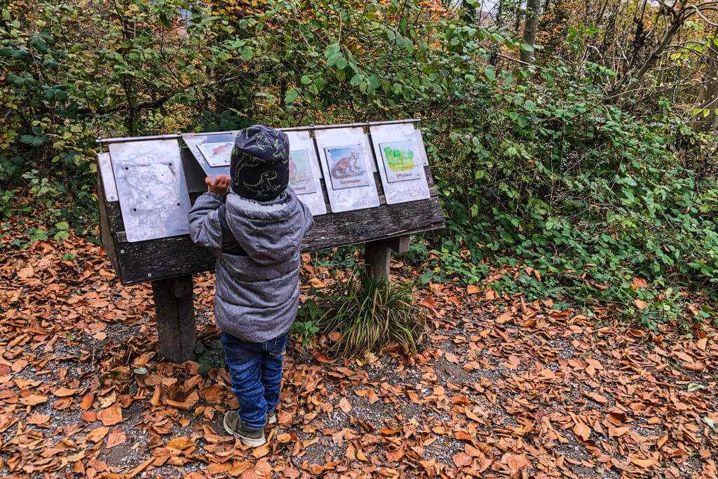 Waldtier Wissen auf dem Walderlebnispfad Urbach im Remstal