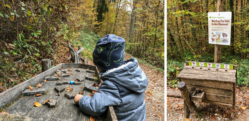 Kugelbahn durch den Wald auf dem Walderlebnispfad Urbach